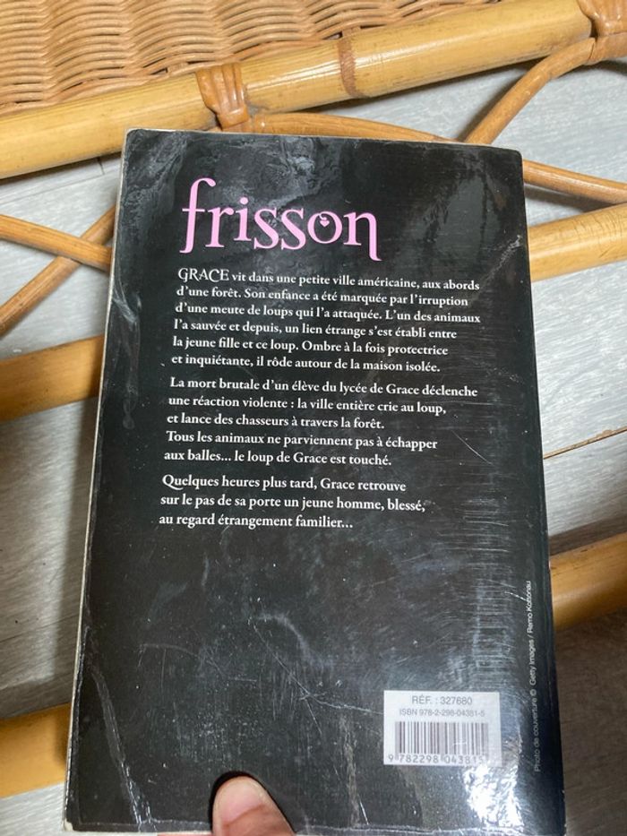 Frisson - photo numéro 4