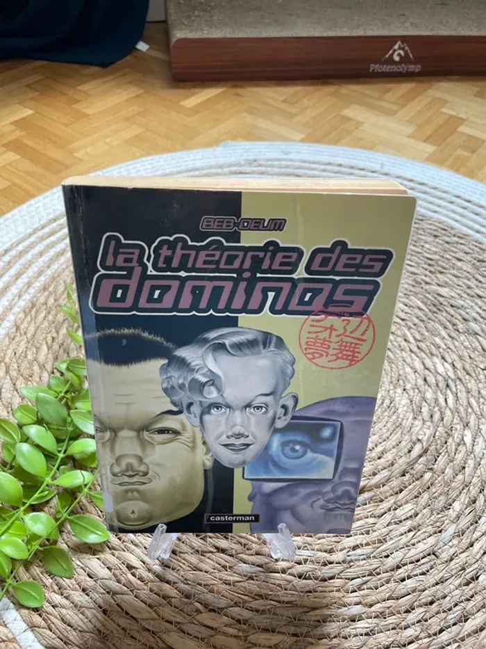 Livre - la théorie des dominos