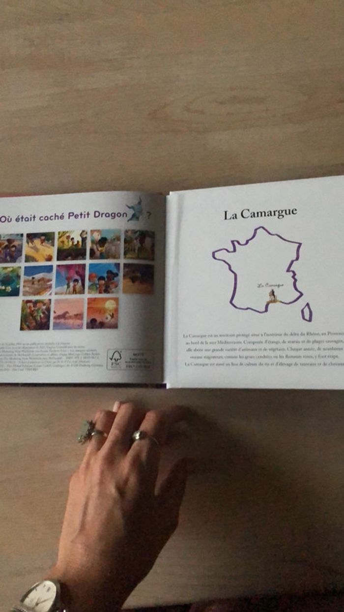 Une carriole dans la Camargue - photo numéro 4