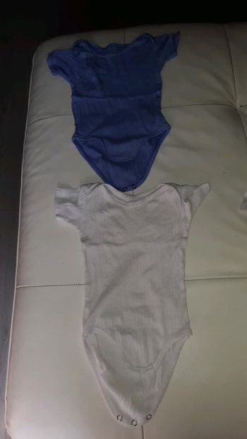 Lot  2 bodies 12 mois