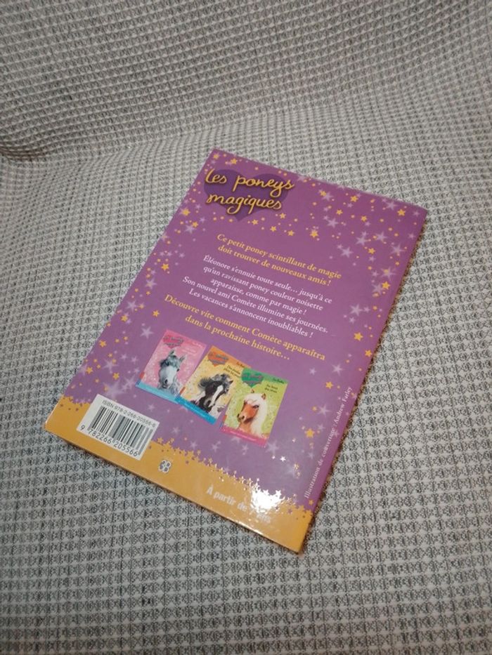 Un Nouvel Ami - Les Poneys Magiques T.1 - photo numéro 9