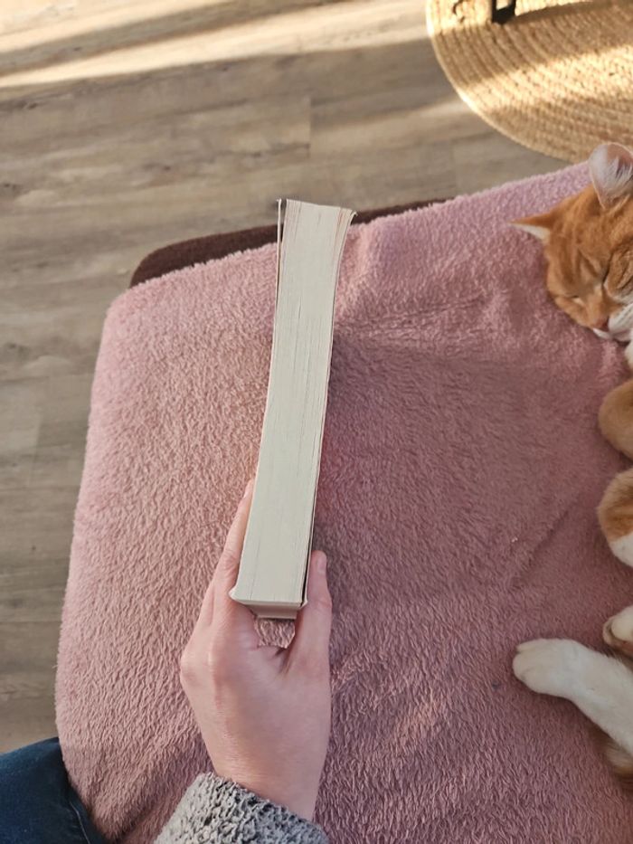 Livre - photo numéro 6