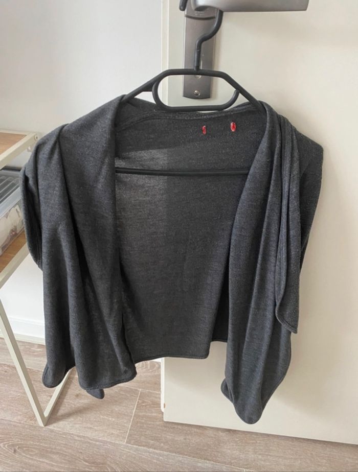 Gilet gris - photo numéro 2