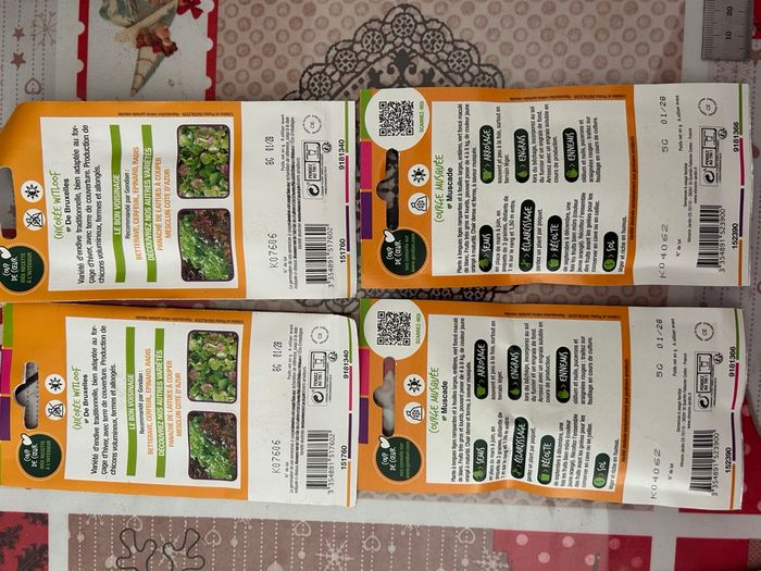 Gros lot de graines et semis légumes / salades - photo numéro 5
