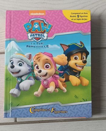 Livre avec figurine