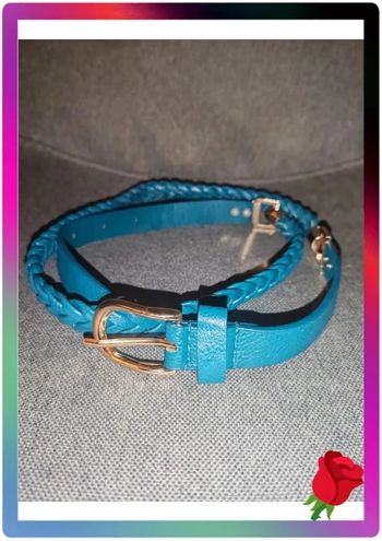 Ceinture bleu