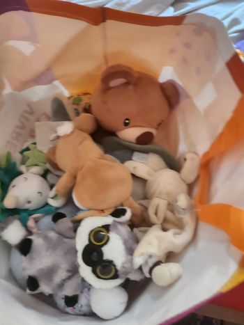 Peluches 2€ unité/ 40€ le lot