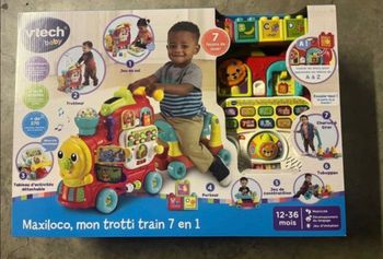 Maxiloco train