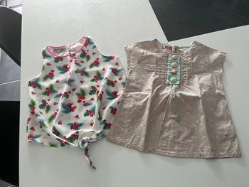 Lot de 2 tee shirts DPAM & Caprice de fille 3 ans