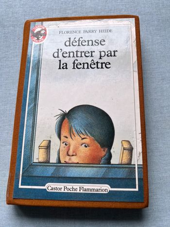 Défense d’entrer par la fenêtre - Florence parry heide