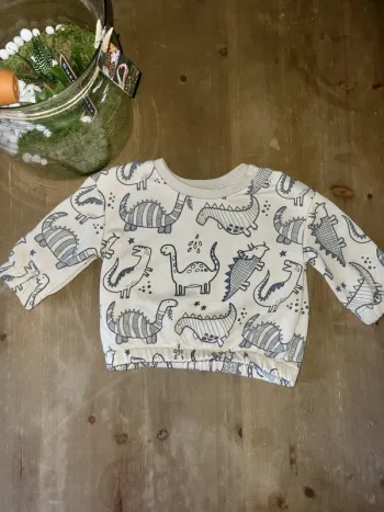 Pull dinosaure primark 6 mois