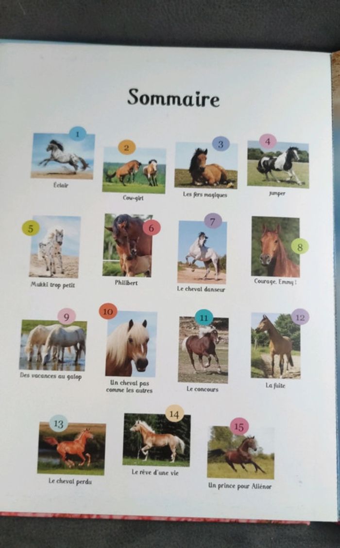 Livre posters mes plus belles histoires de chevaux - photo numéro 4