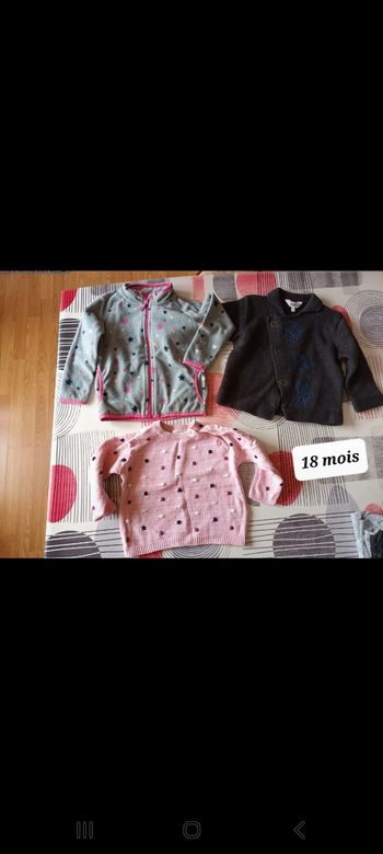 Lot 3 pulls Taille 18 mois 👧