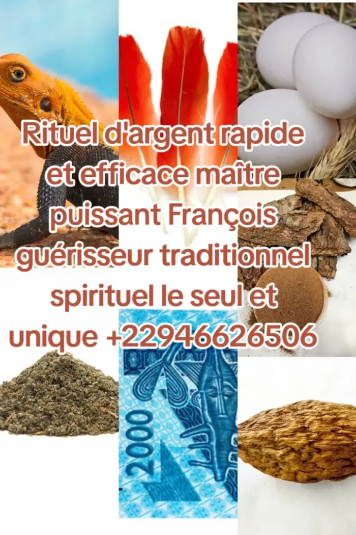 Grand maître puissant François guérisseur traditionnel spirituel +22946626506 - photo numéro 3