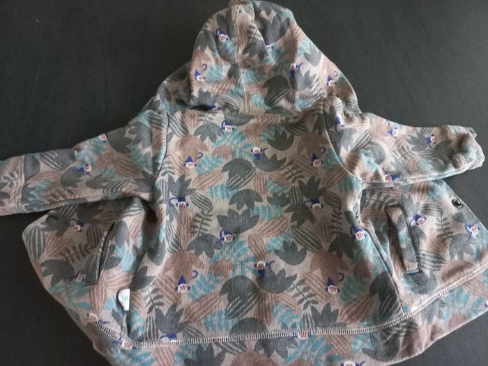 Veste à capuche T6 mois - photo numéro 4