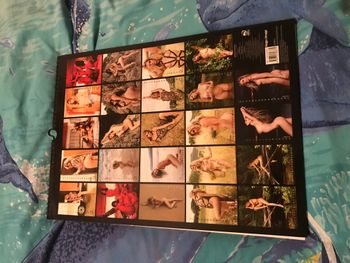 Calendrier Clara Morgane 2023