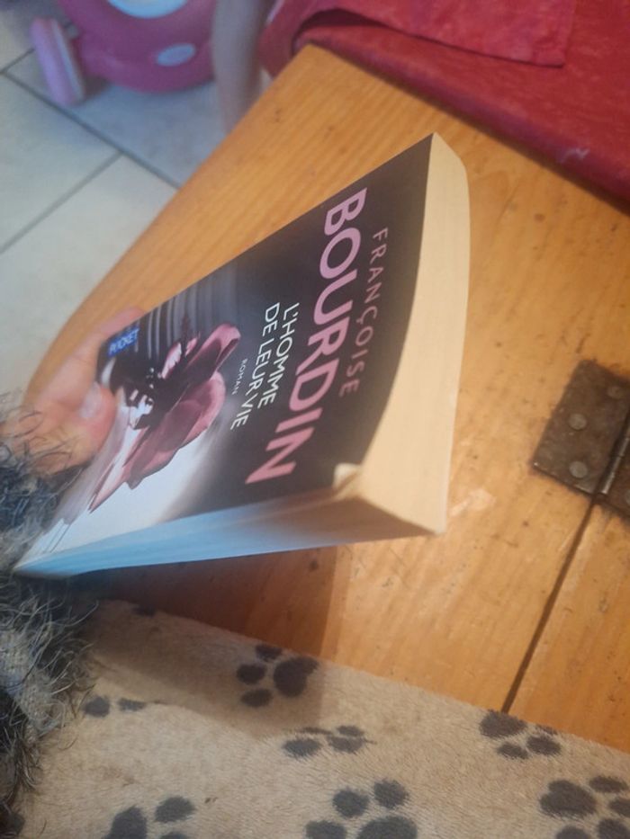 Livre bourdin pocket - photo numéro 4