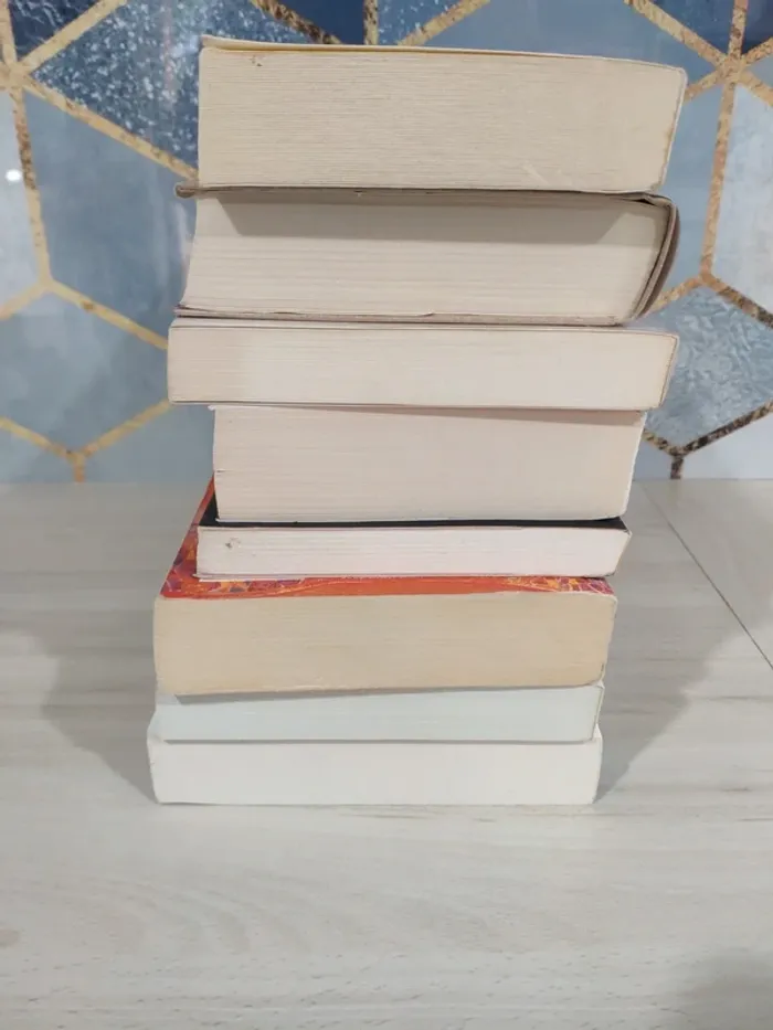 Lot 8 livres histoires d'amour romance passions Bussi Dupuy Auster Oates Bordes Orsenna Turberville - photo numéro 8