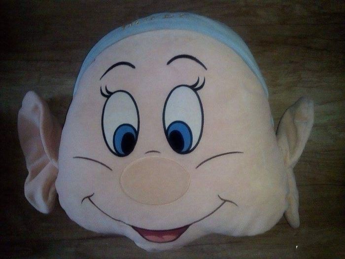 Gros coussin simplet - photo numéro 2