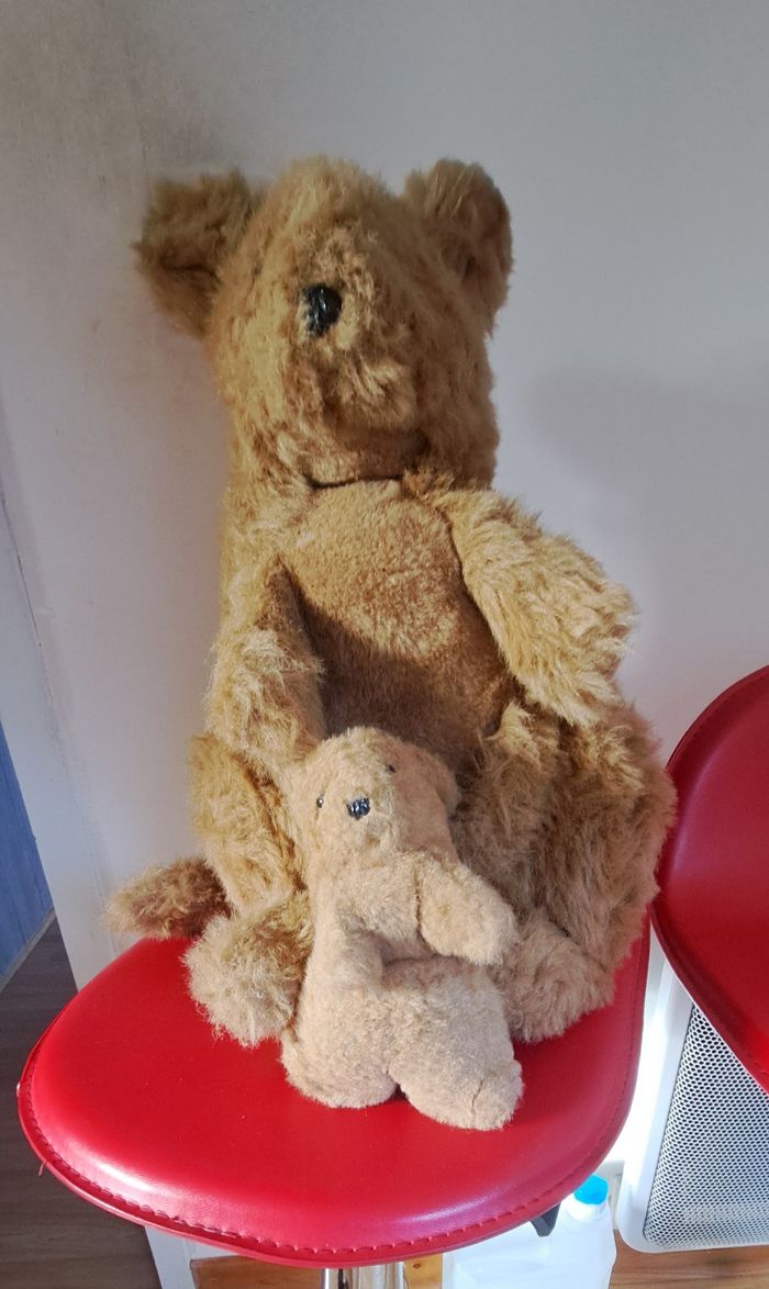 Kangourou et son petit - photo numéro 3