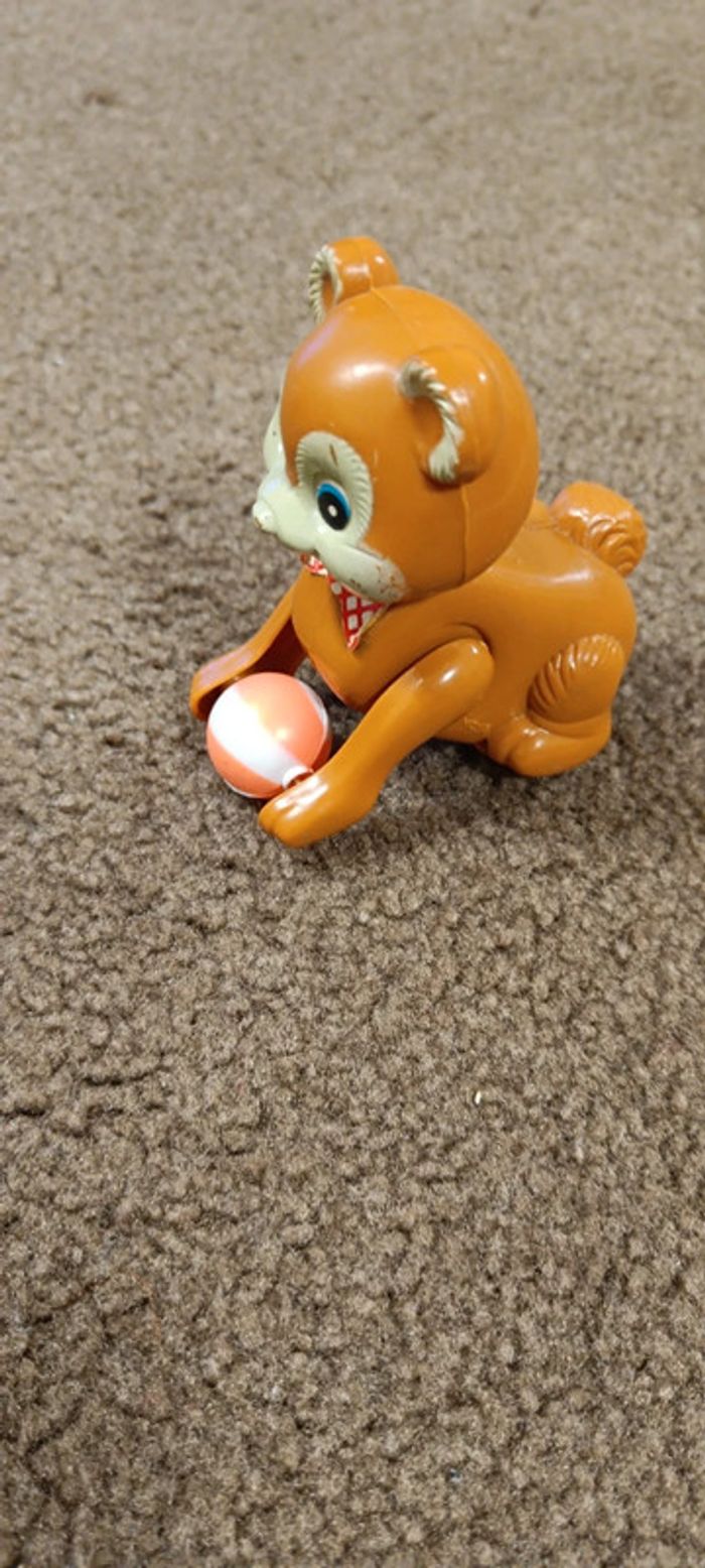 Chat qui saute - photo numéro 8