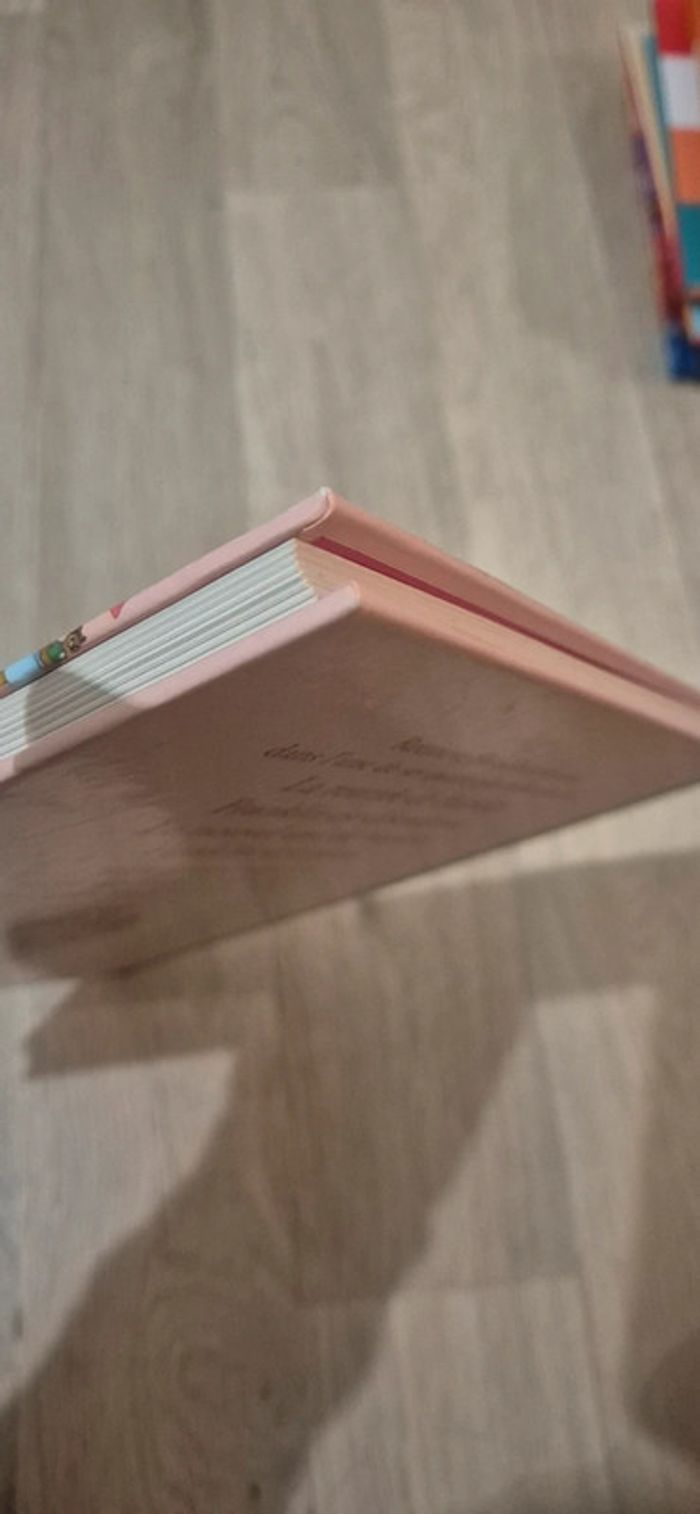 Livre - les plus belles histoires de Franklin - volume 3 - photo numéro 7