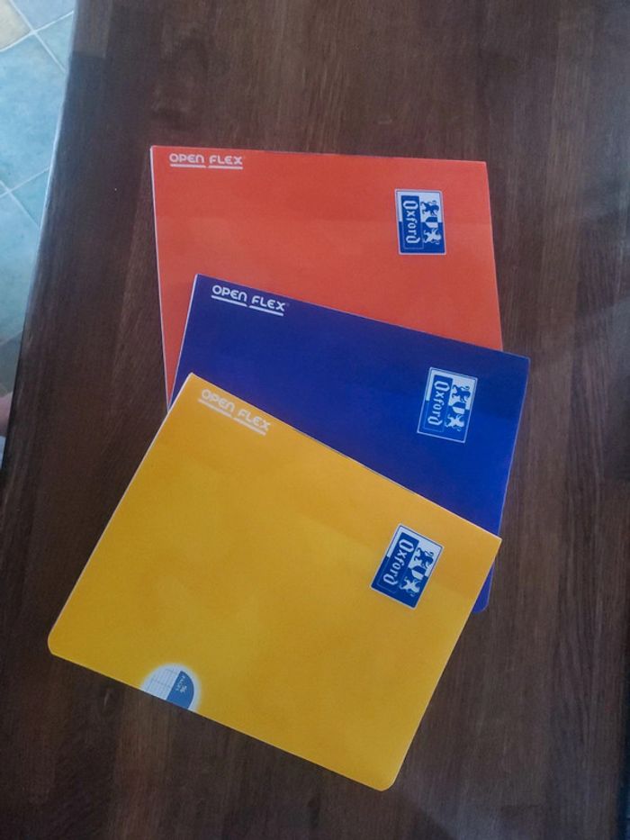Lot de 3 cahiers 17x22 96 pages