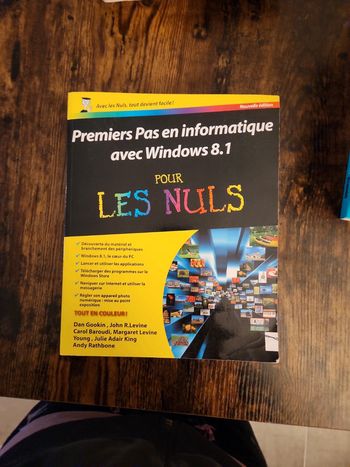 Luvre : Premiers pas en informatique pour les nuls