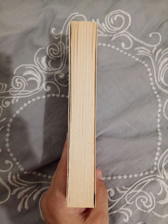 Livre (36) 📚 Une nuit de promesse - photo numéro 4