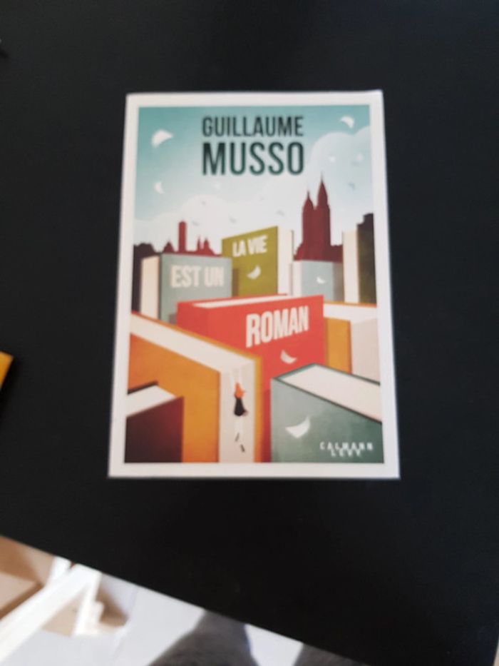 La vie est un roman - Guillaume Musso - photo numéro 2