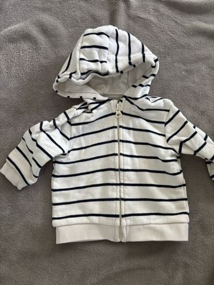 Vestes - photo numéro 3