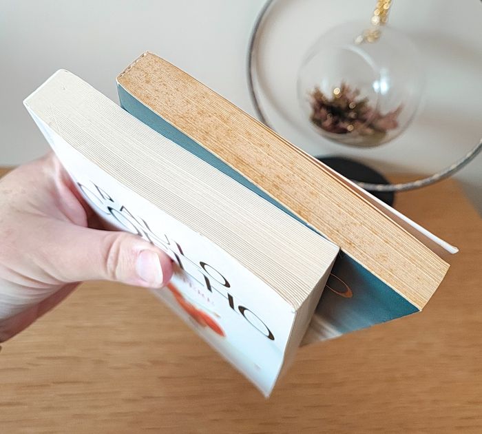 📚 Adultère + Onze minutes - Paulo Coelho 📚 - photo numéro 5