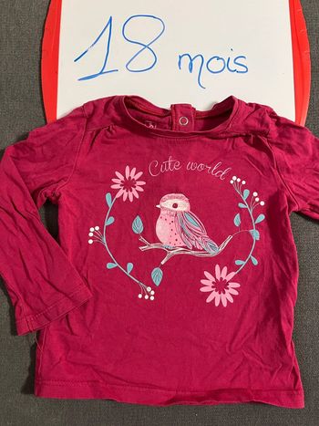Teeshirt manches longues 18 mois