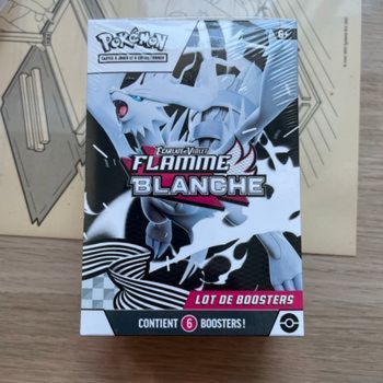 Bundle Pokémon EV10.5 flamme blanche FR