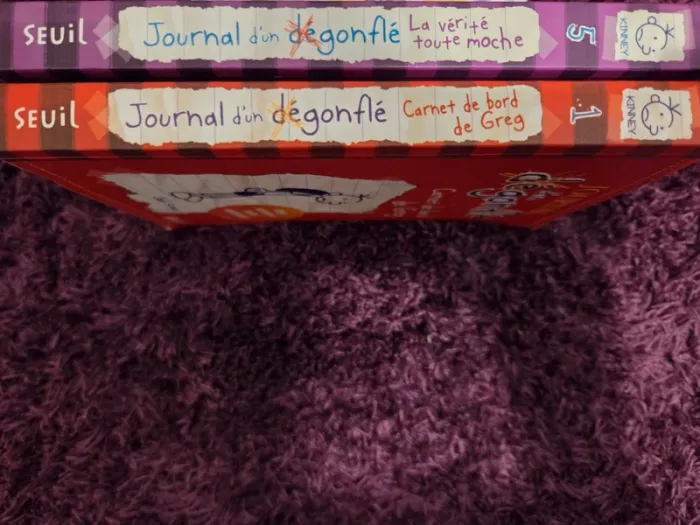 LOT 2 Journal d'un dégonflé - photo numéro 3