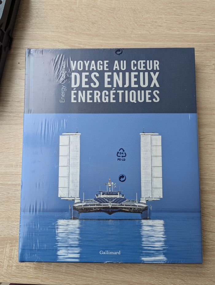Livre les enjeux énergétiques