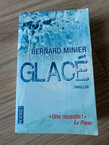 Livre Bernard minier glace thriller