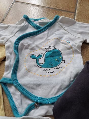 Bodys garçon 1 mois