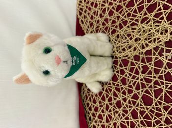 PELUCHE CHAT FEU VERT EDITION LIMITEE 50 ANS