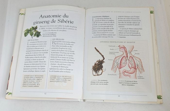 "Petit guide du bien-être. Le ginseng".
60 pages.
ISBN : 3.8290.3653.1 - photo numéro 4