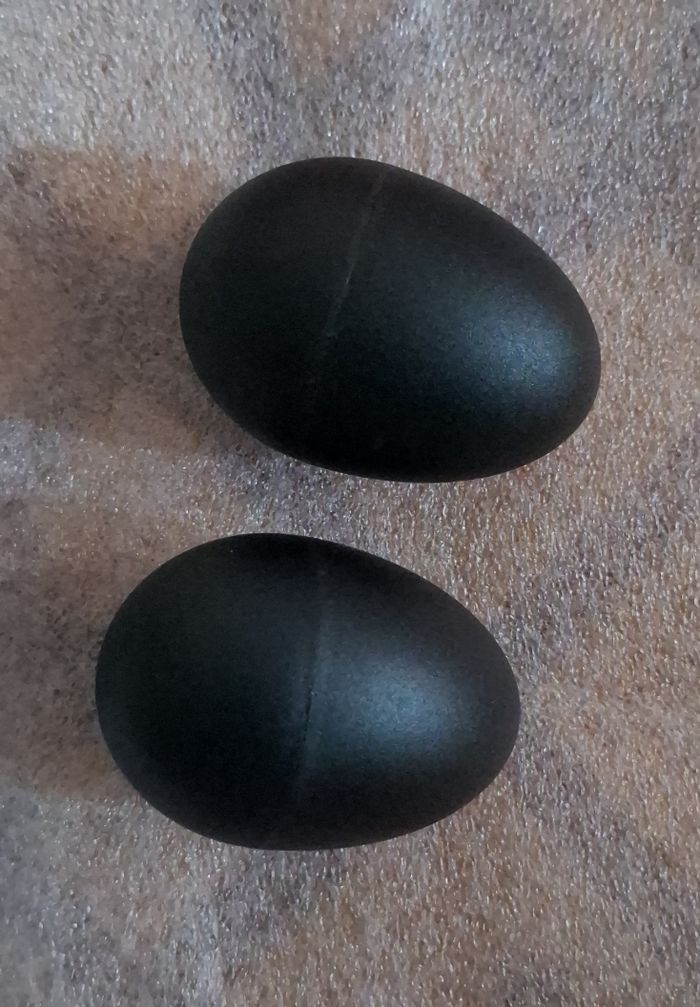 Oeufs maraccasses - photo numéro 2