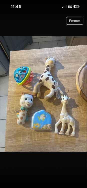 Lots Sophie, la girafe