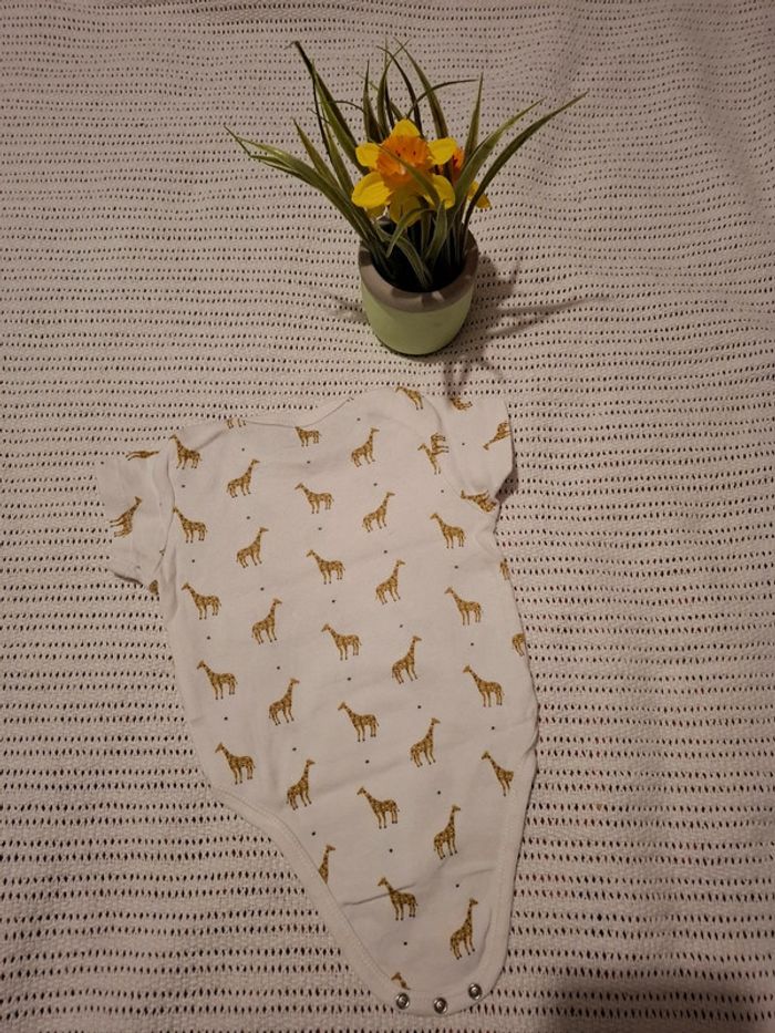 Bodie 6Mois (Mixte) - photo numéro 3