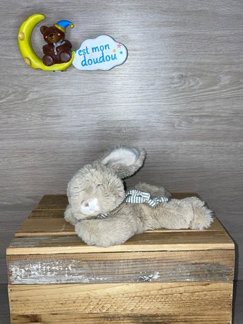 BK141 doudou lapin 🐰 Bukowski