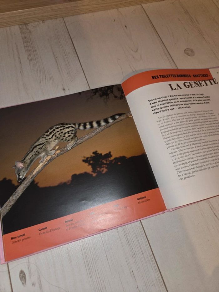 Livre Trésor de la nature – Crottes - photo numéro 3