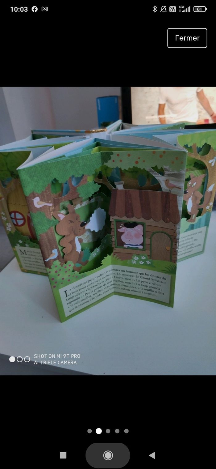 Livre les 3 petits cochons - photo numéro 2