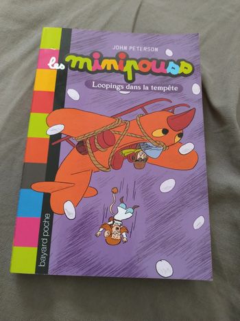 Livre Les minipouss loopings dans la tempête