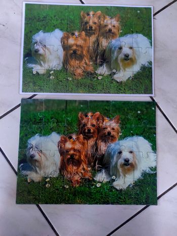Puzzle chiens 24 pièces