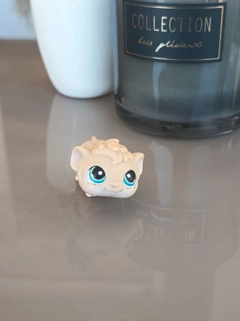 Littlest Pet Shop #157
 Cream beige guinea pig