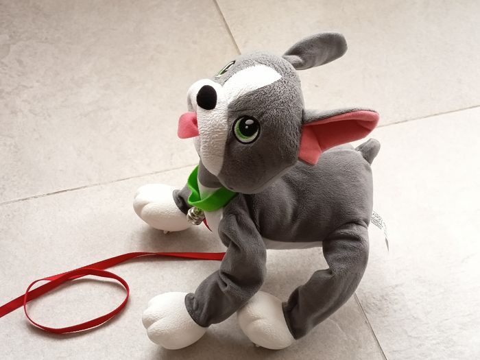 Toufous - Bulldog - photo numéro 4